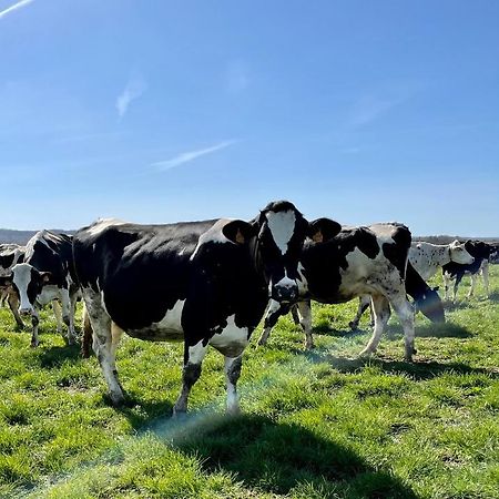Chambre A La Ferme Precy-le-Sec Exteriör bild