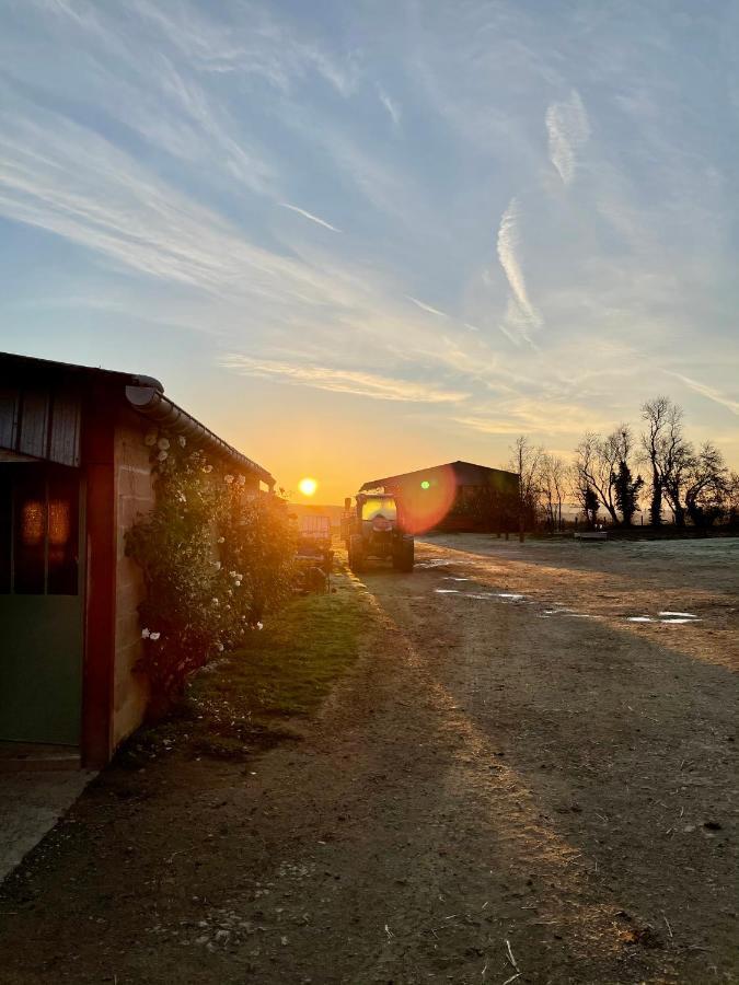 Chambre A La Ferme Precy-le-Sec Exteriör bild