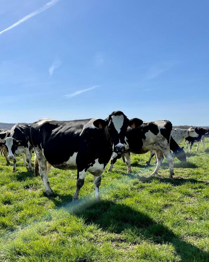 Chambre A La Ferme Precy-le-Sec Exteriör bild